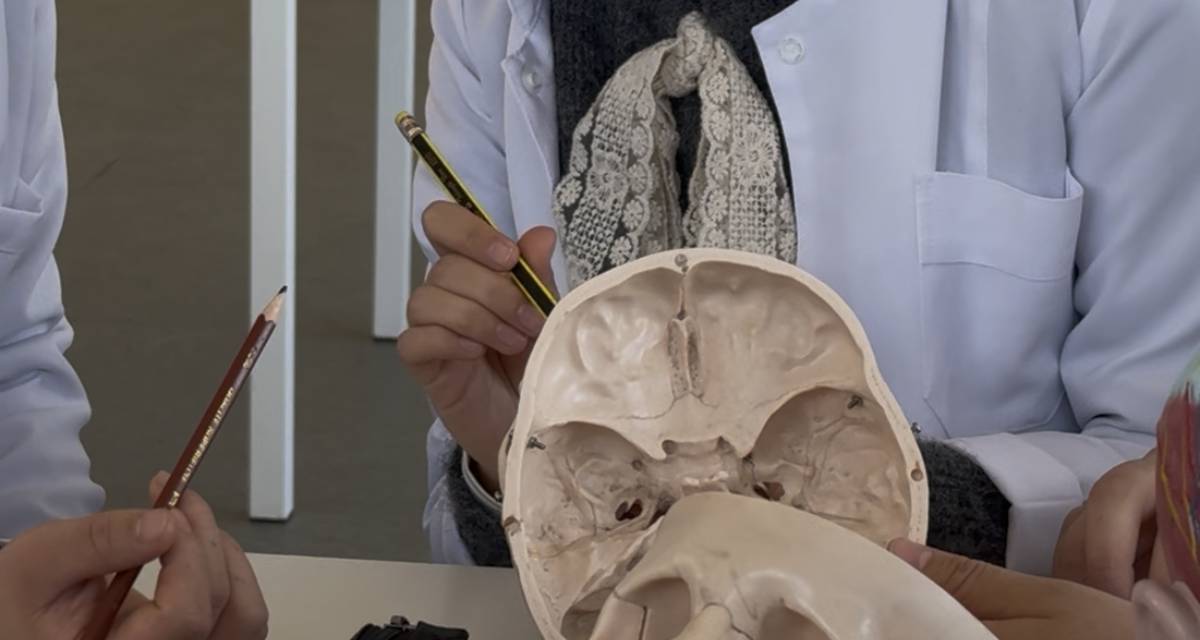 From the very first months of their studies, first-year students of Adam University School of Medicine begin not only to study theory, but also to master practical skills