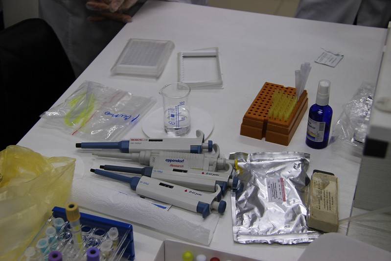 Open lesson on medical biology at ADAM University